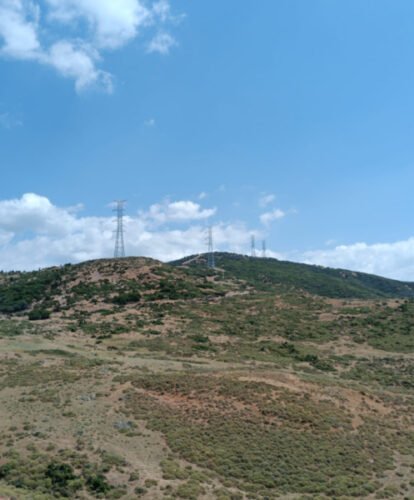 resized_demiroz8